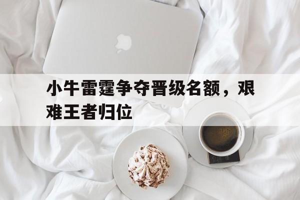 小牛雷霆争夺晋级名额,艰难王者归位